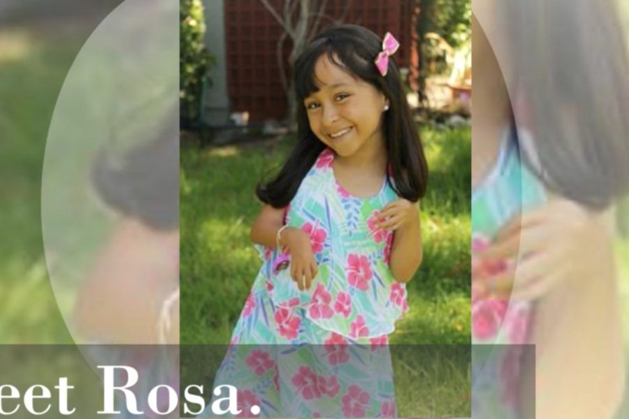 Rosa picture